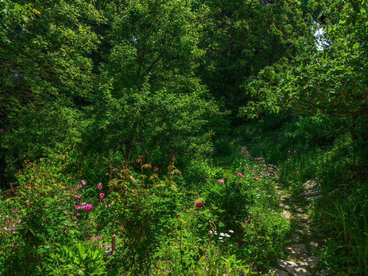 Yeti Cabin Plitvica selo Exterior foto